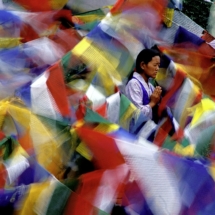 Nyima Lhamo, une jeune Tibetaine refugiee, en priere lors du pelerinage a Bodh Gaya, Inde. / Nyima Lhamo, a young Tibetan refugee girl, praying during a pilgrimage to Bodhgaya, India.