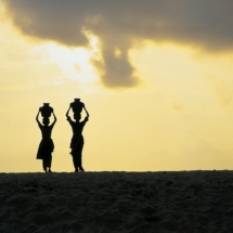 Retour du puits, au crepuscule, Kerala. / Returning to the well at dusk, Kerala, India.