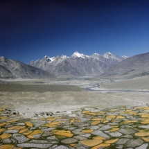 La vallee principale du Zanskar a la fin de l'ete, vue du monastere de Stongde a 3700 m (Himalaya indien) / The Zanskar plateau seen from the Stongde monastery, 3 700 m above sea level, at the end of summer in Zanskar (Indian Himalaya)