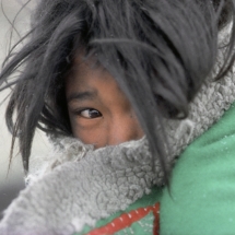 Sonam Tsering, jeune bergere de Tso Kar au Ladakh se couvre la bouche pour se proteger de lÕair glace qui brule ses bronches en hiver (Himalaya indien) / Sonam Tsering, a young shepherd woman from Tso Kar in Ladakh protects herself from the cold i