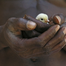 Le geste protecteur (Senegal) / A protective gesture (Senegal)